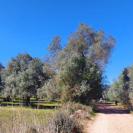 לואה "Oliveiras" Appartement Typique Avec Terrasse Et Piscine מראה חיצוני תמונה