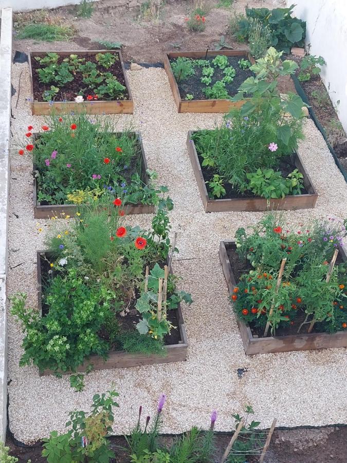 לואה "Oliveiras" Appartement Typique Avec Terrasse Et Piscine מראה חיצוני תמונה