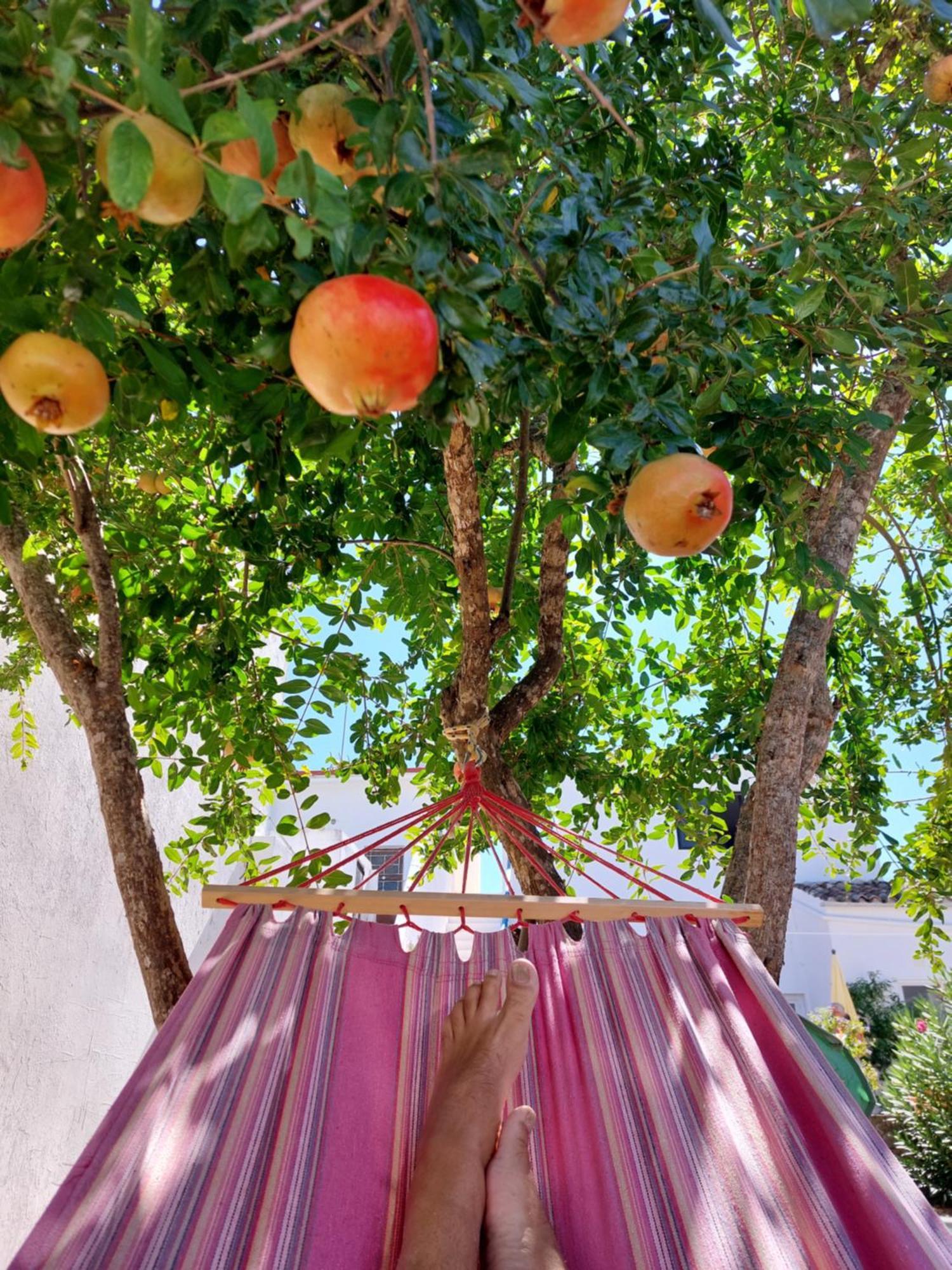 לואה "Oliveiras" Appartement Typique Avec Terrasse Et Piscine מראה חיצוני תמונה